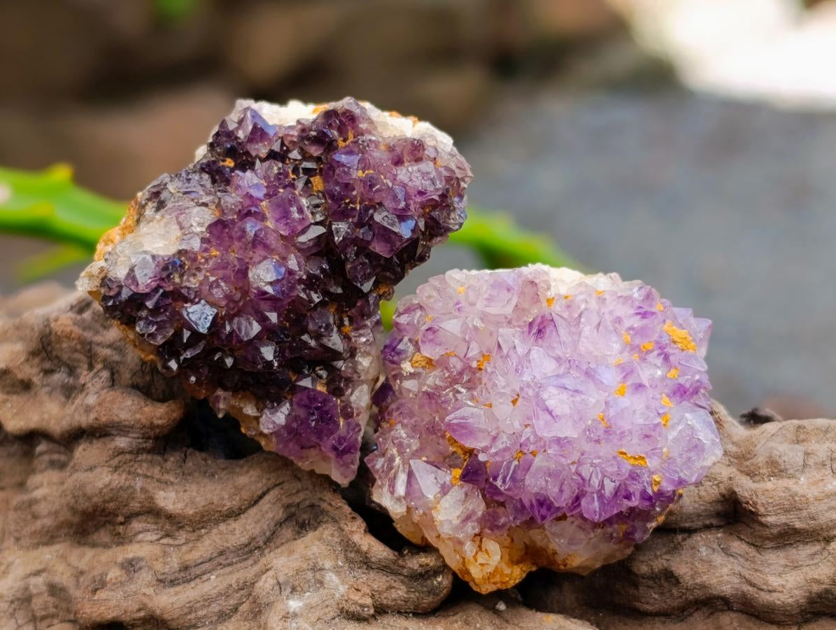 Natural Dark Purple Amethyst Quartz Crystal Plates x 72 From Boekenhouthoek, South Africa - Toprock Gemstones and Minerals 