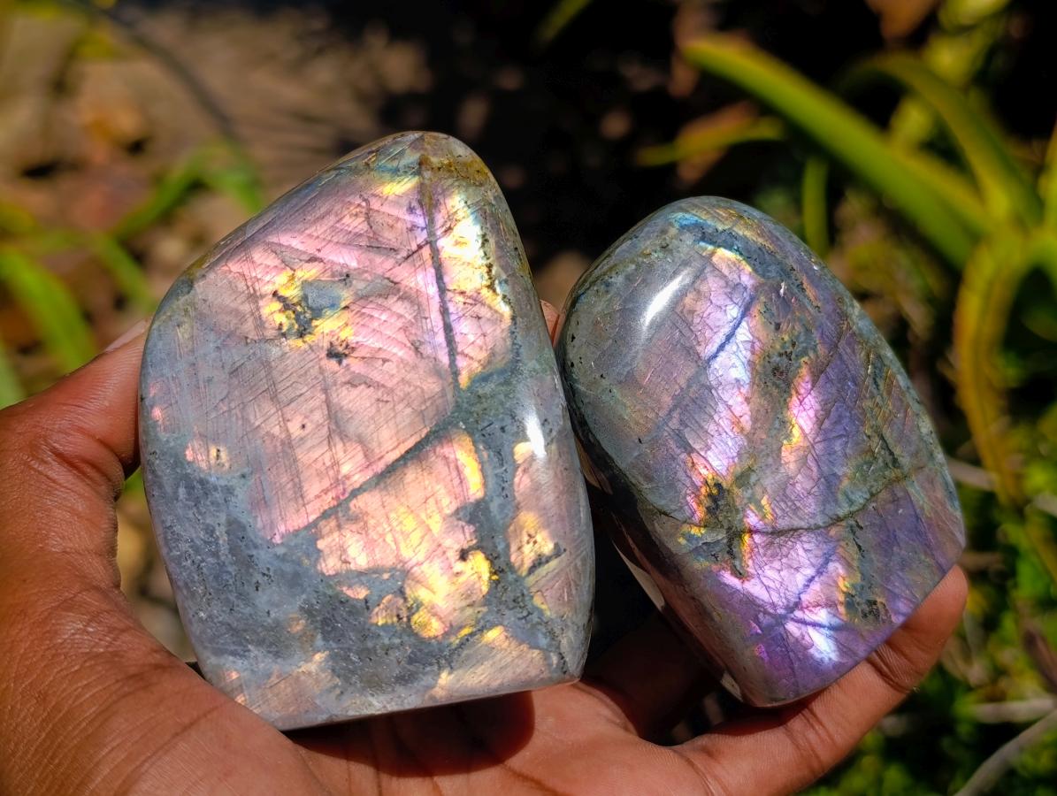Polished Rare Purple Sunset Flash Labradorite Standing Free Forms x 12 From Madagascar - Toprock Gemstones and Minerals 