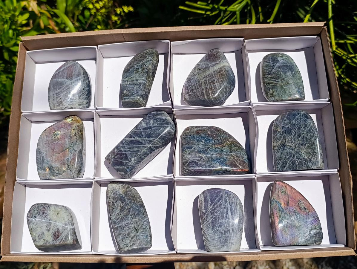 Polished Rare Purple Sunset Flash Labradorite Standing Free Forms x 12 From Madagascar - Toprock Gemstones and Minerals 