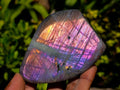 Polished Rare Purple Sunset Flash Labradorite Standing Free Forms x 12 From Madagascar - Toprock Gemstones and Minerals 