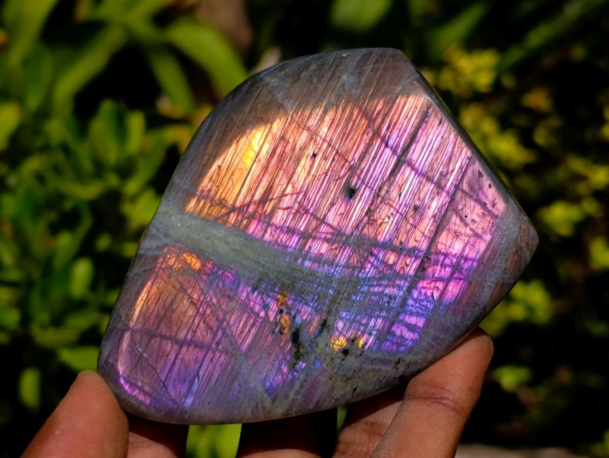 Polished Rare Purple Sunset Flash Labradorite Standing Free Forms x 12 From Madagascar