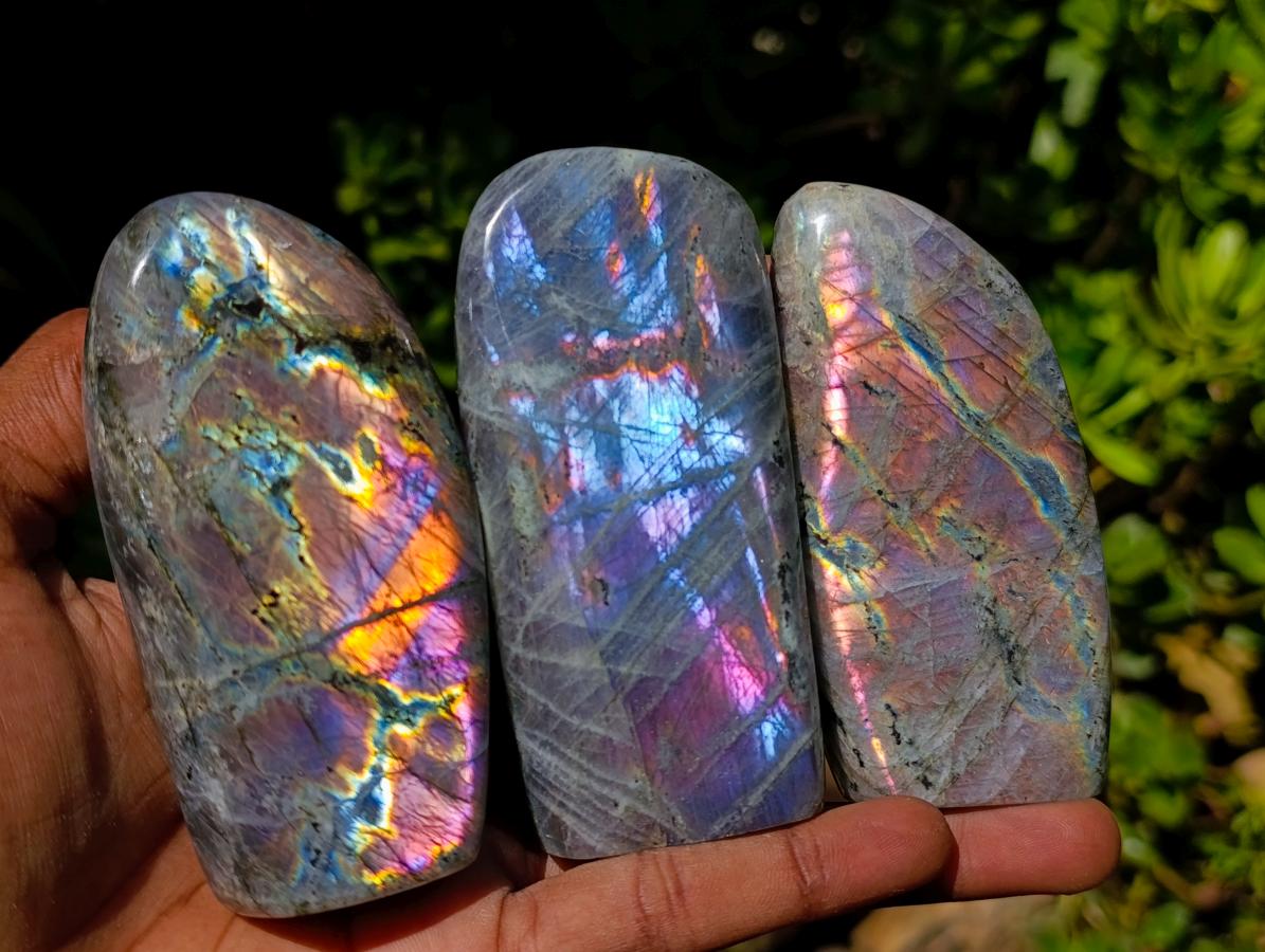Polished Rare Purple Sunset Flash Labradorite Standing Free Forms x 12 From Madagascar - Toprock Gemstones and Minerals 