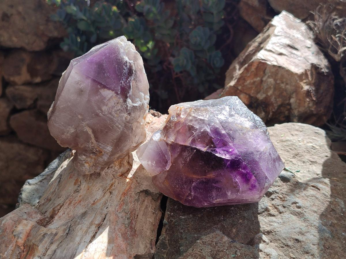 Natural Window Amethyst Crystals x 2 From Ambatondrazaka, Madagascar - Toprock Gemstones and Minerals 