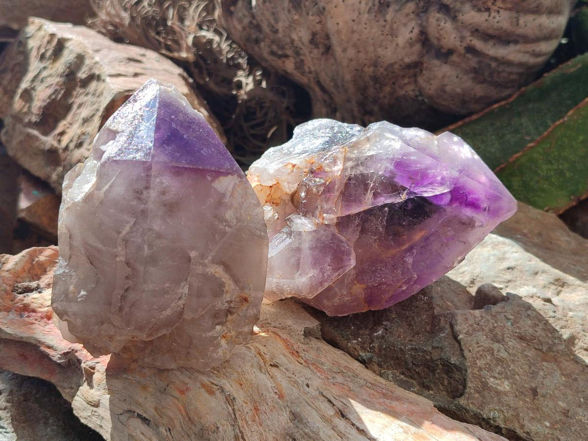 Natural Window Amethyst Crystals x 2 From Ambatondrazaka, Madagascar - Toprock Gemstones and Minerals 