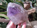 Natural Window Amethyst Crystals x 2 From Ambatondrazaka, Madagascar - Toprock Gemstones and Minerals 