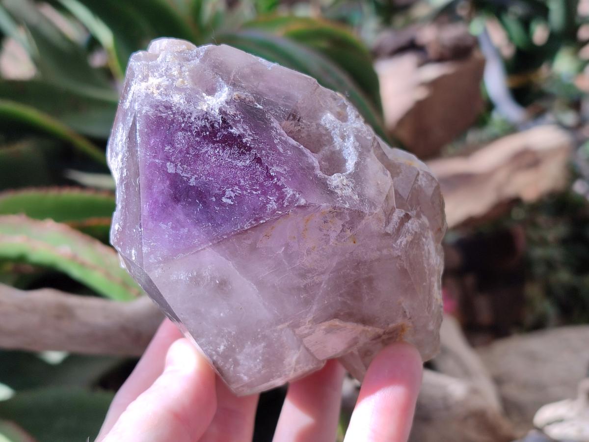 Natural Window Amethyst Crystals x 2 From Ambatondrazaka, Madagascar - Toprock Gemstones and Minerals 