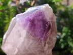 Natural Window Amethyst Crystals x 2 From Ambatondrazaka, Madagascar - Toprock Gemstones and Minerals 