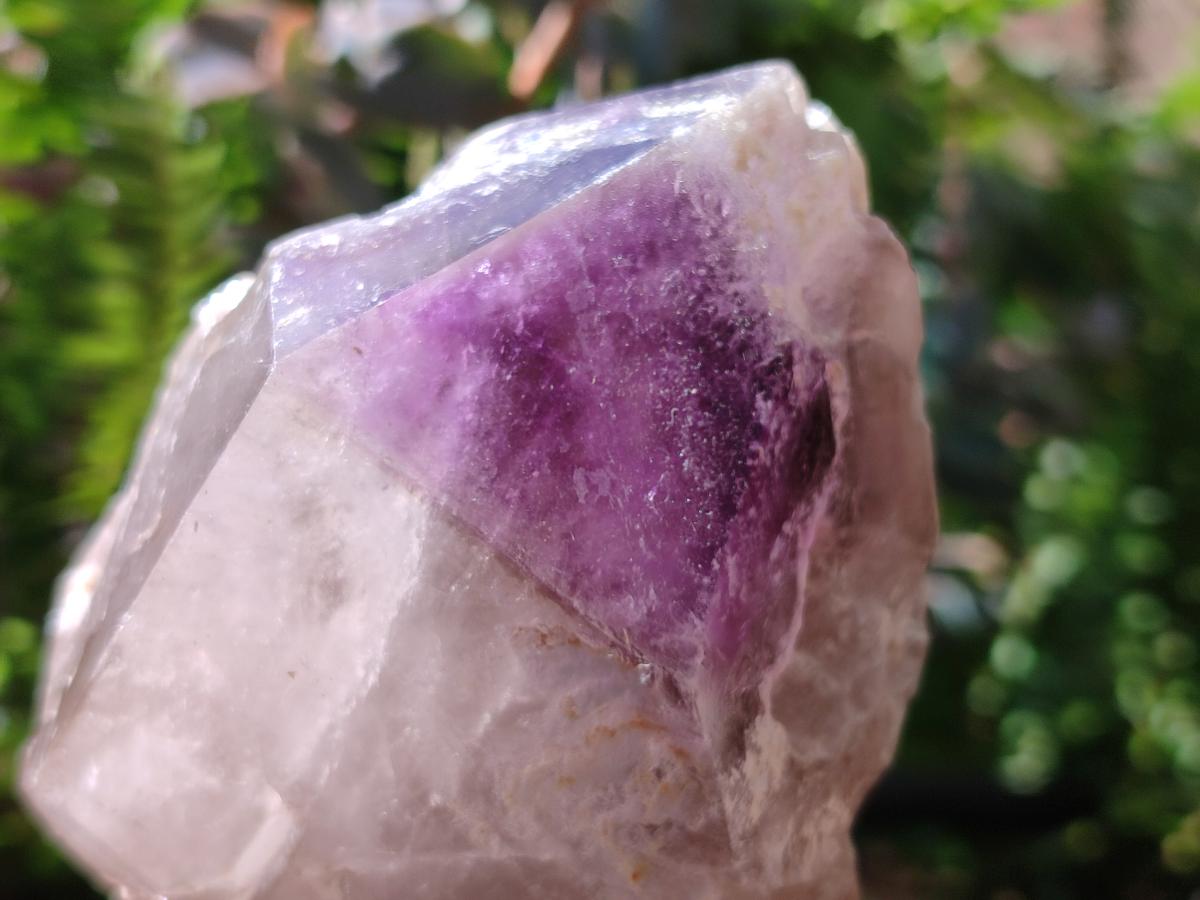 Natural Window Amethyst Crystals x 2 From Ambatondrazaka, Madagascar - Toprock Gemstones and Minerals 