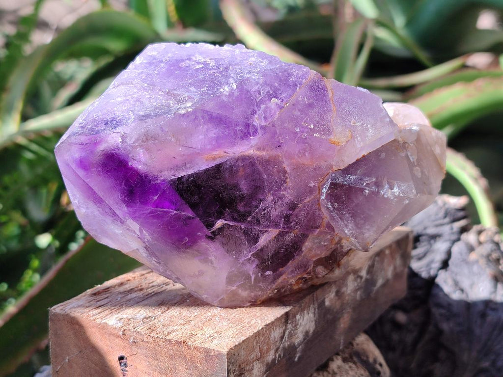 Natural Window Amethyst Crystals x 2 From Ambatondrazaka, Madagascar - Toprock Gemstones and Minerals 