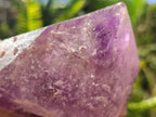 Natural Window Amethyst Crystals x 2 From Ambatondrazaka, Madagascar - Toprock Gemstones and Minerals 