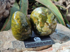 Polished Green Opal Standing Free Forms x 3 From Betroka, Madagascar - Toprock Gemstones and Minerals 