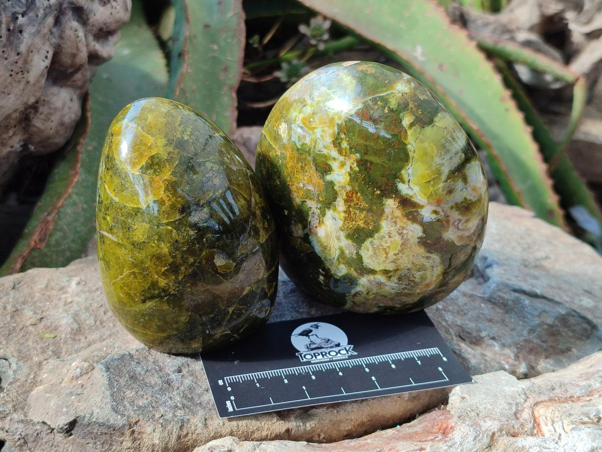 Polished Green Opal Standing Free Forms x 3 From Betroka, Madagascar - Toprock Gemstones and Minerals 