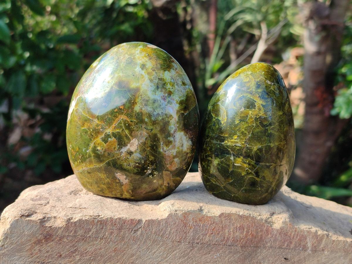 Polished Green Opal Standing Free Forms x 3 From Betroka, Madagascar - Toprock Gemstones and Minerals 