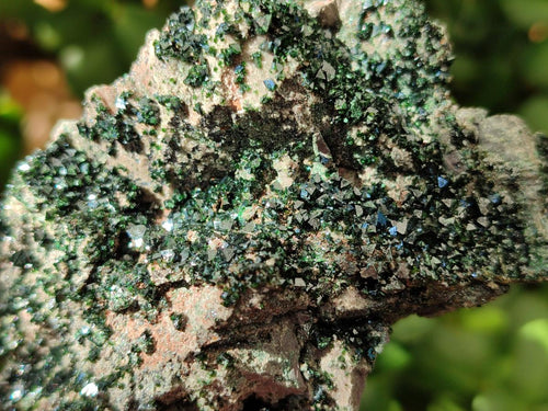 Natural Libethenite Crystals on Dolomite Matrix Specimens x 6 From Shituru, Congo - Toprock Gemstones and Minerals 