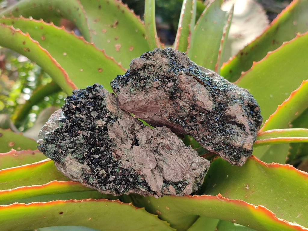 Natural Libethenite Crystals on Dolomite Matrix Specimens x 6 From Shituru, Congo - Toprock Gemstones and Minerals 