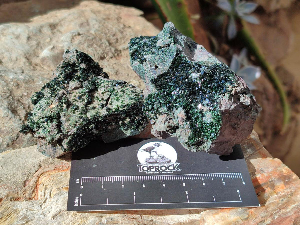 Natural Libethenite Crystals on Dolomite Matrix Specimens x 6 From Shituru, Congo - Toprock Gemstones and Minerals 