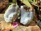 Natural Blue Lace Agate Specimens x 2 From Nsanje, Malawi
