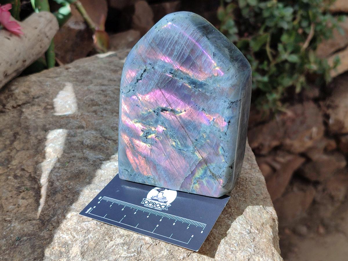 Polished Rare Purple Sunset Flash Labradorite Standing Free Forms x 2 From Madagascar