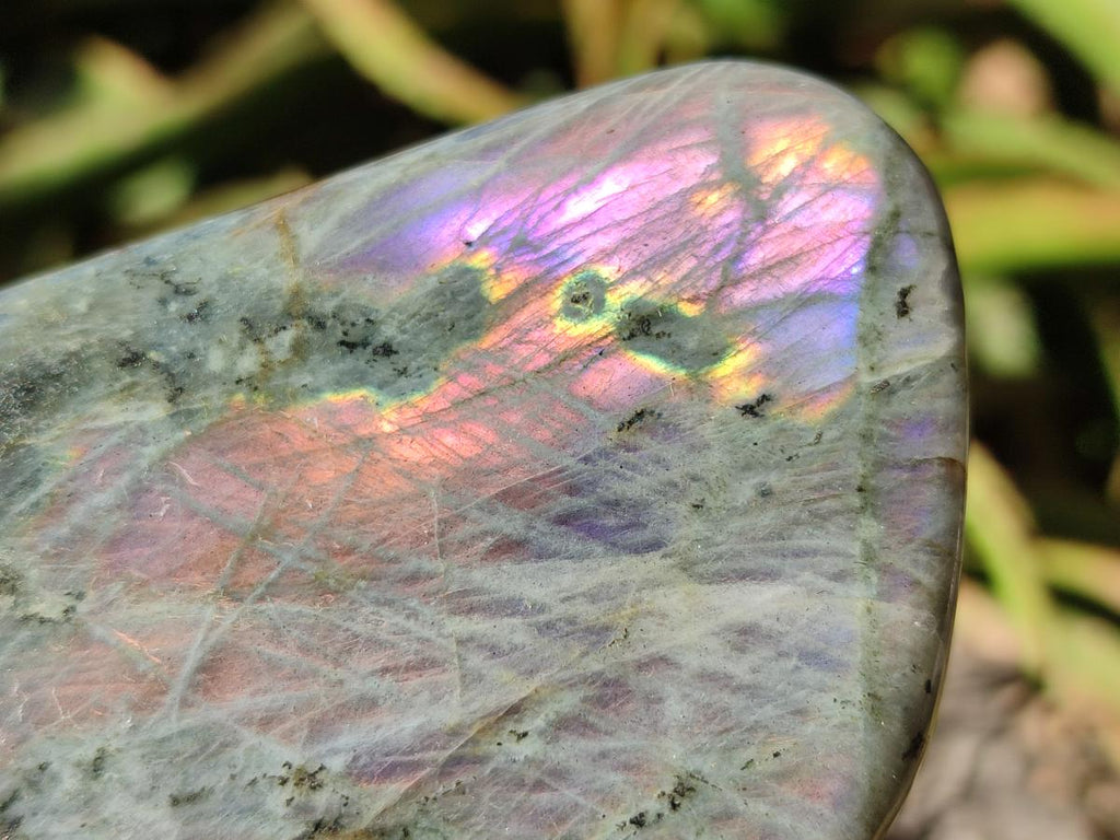 Polished Rare Purple Sunset Flash Labradorite Standing Free Forms x 2 From Madagascar