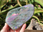 Polished Rare Purple Sunset Flash Labradorite Standing Free Forms x 2 From Madagascar