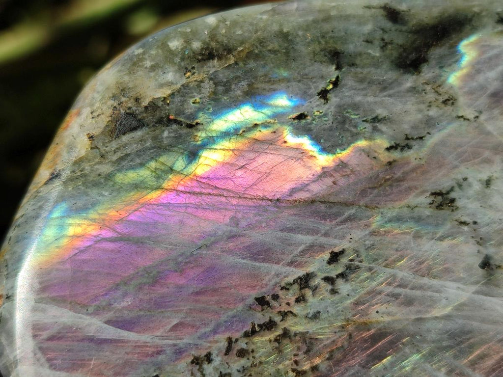 Polished Rare Purple Sunset Flash Labradorite Standing Free Forms x 2 From Madagascar