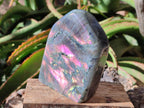 Polished Rare Purple Sunset Flash Labradorite Standing Free Forms x 2 From Madagascar