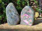 Polished Rare Purple Sunset Flash Labradorite Standing Free Forms x 2 From Madagascar