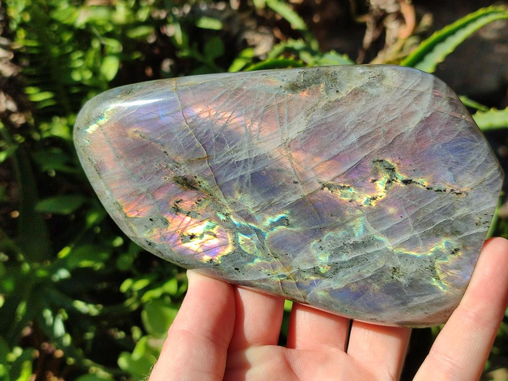 Polished Rare Purple Sunset Flash Labradorite Standing Free Forms x 2 From Madagascar
