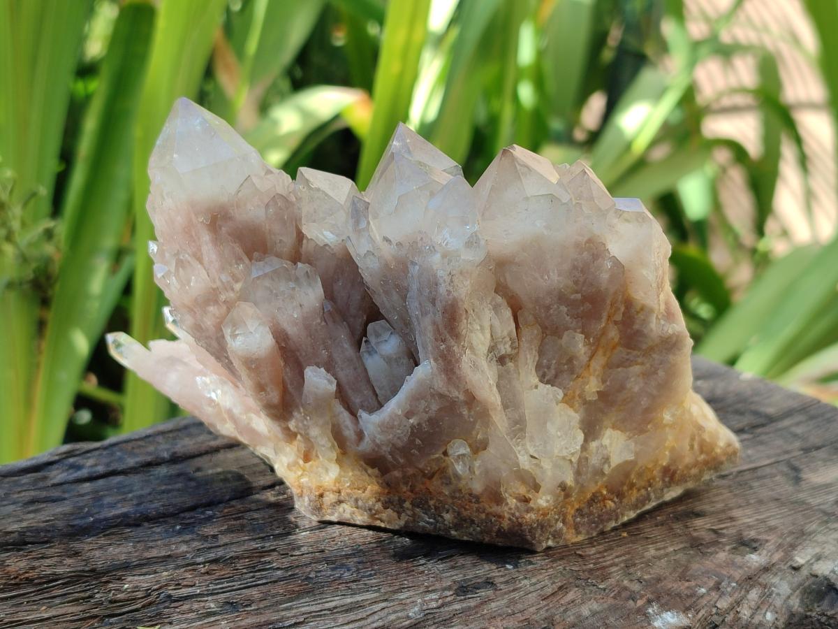 Natural Phantom Cascading Smokey Luena Quartz Clusters x 2 From Luena, Congo