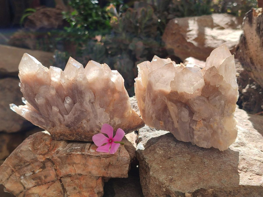 Natural Phantom Cascading Smokey Luena Quartz Clusters x 2 From Luena, Congo