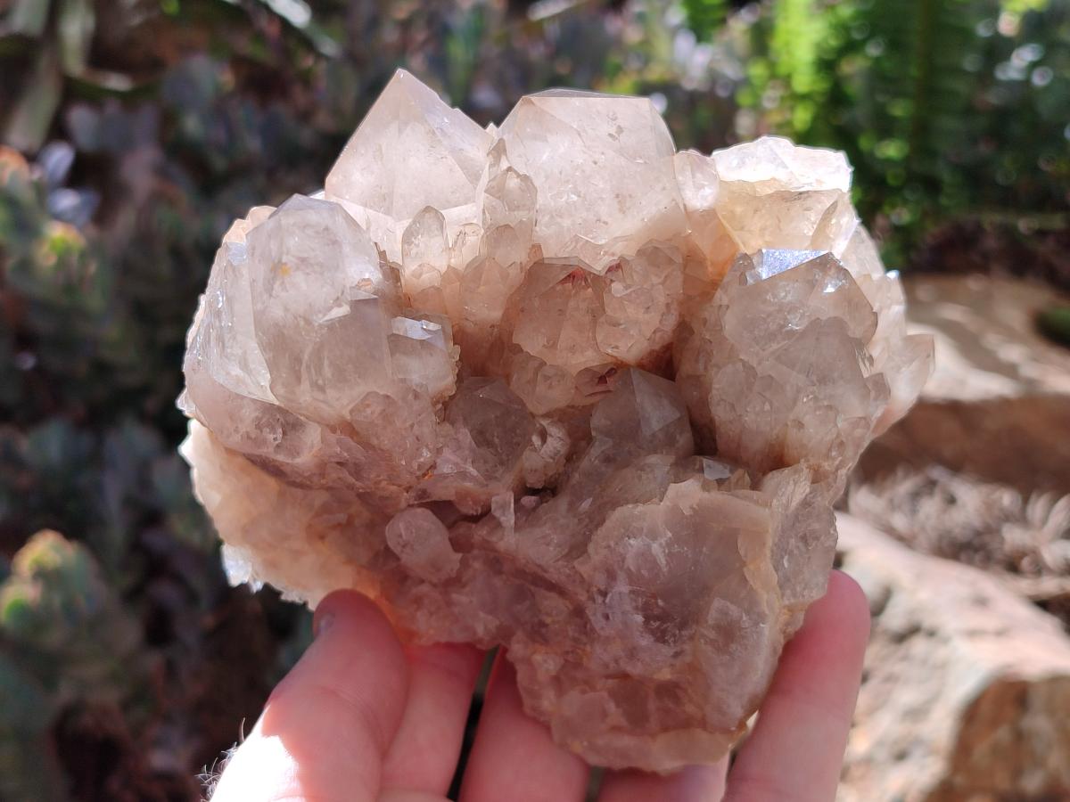 Natural Phantom Cascading Smokey Luena Quartz Clusters x 2 From Luena, Congo