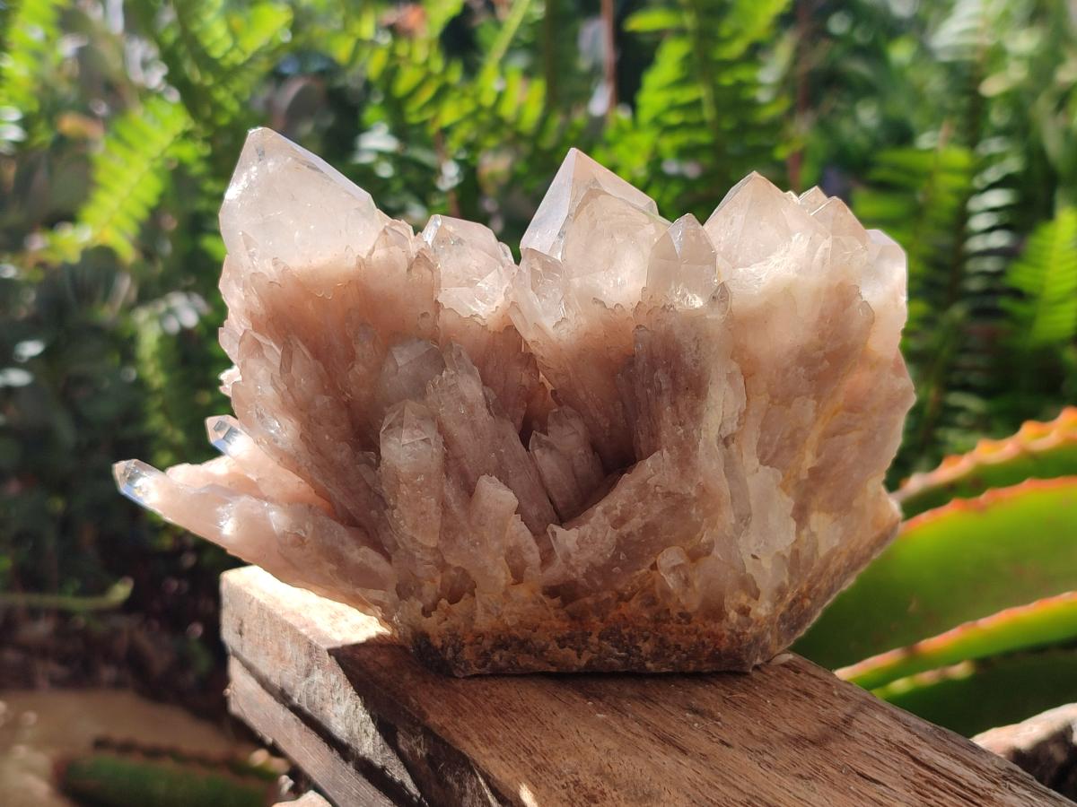 Natural Phantom Cascading Smokey Luena Quartz Clusters x 2 From Luena, Congo