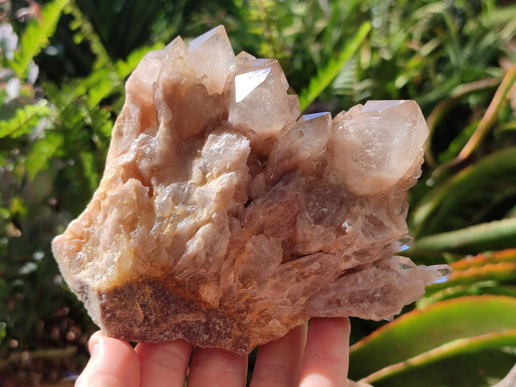 Natural Phantom Cascading Smokey Luena Quartz Clusters x 2 From Luena, Congo