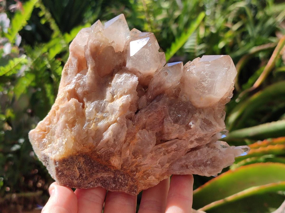 Natural Phantom Cascading Smokey Luena Quartz Clusters x 2 From Luena, Congo