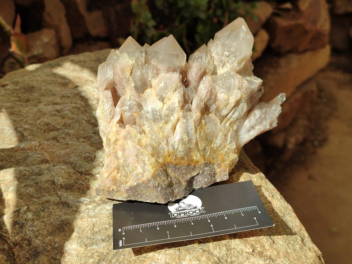Natural Phantom Cascading Smokey Luena Quartz Clusters x 2 From Luena, Congo
