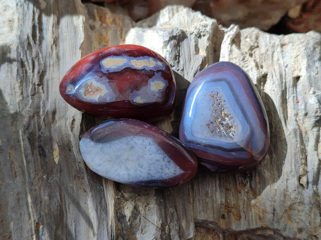 Polished Red Shashe River Agate Free Forms x 35 From Shashe River, Zimbabwe