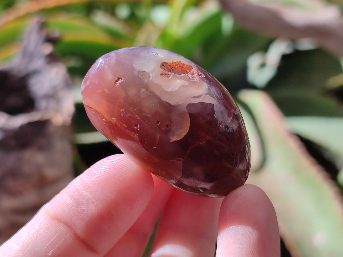 Polished Red Shashe River Agate Free Forms x 35 From Shashe River, Zimbabwe