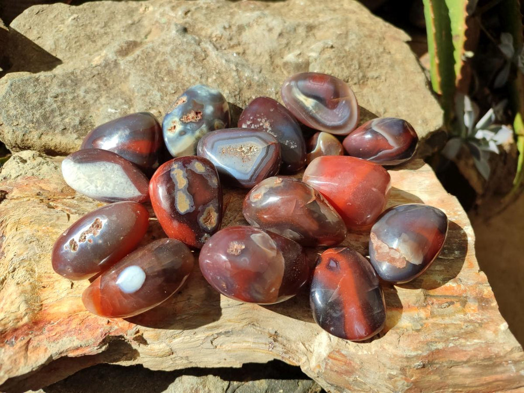 Polished Red Shashe River Agate Free Forms x 35 From Shashe River, Zimbabwe