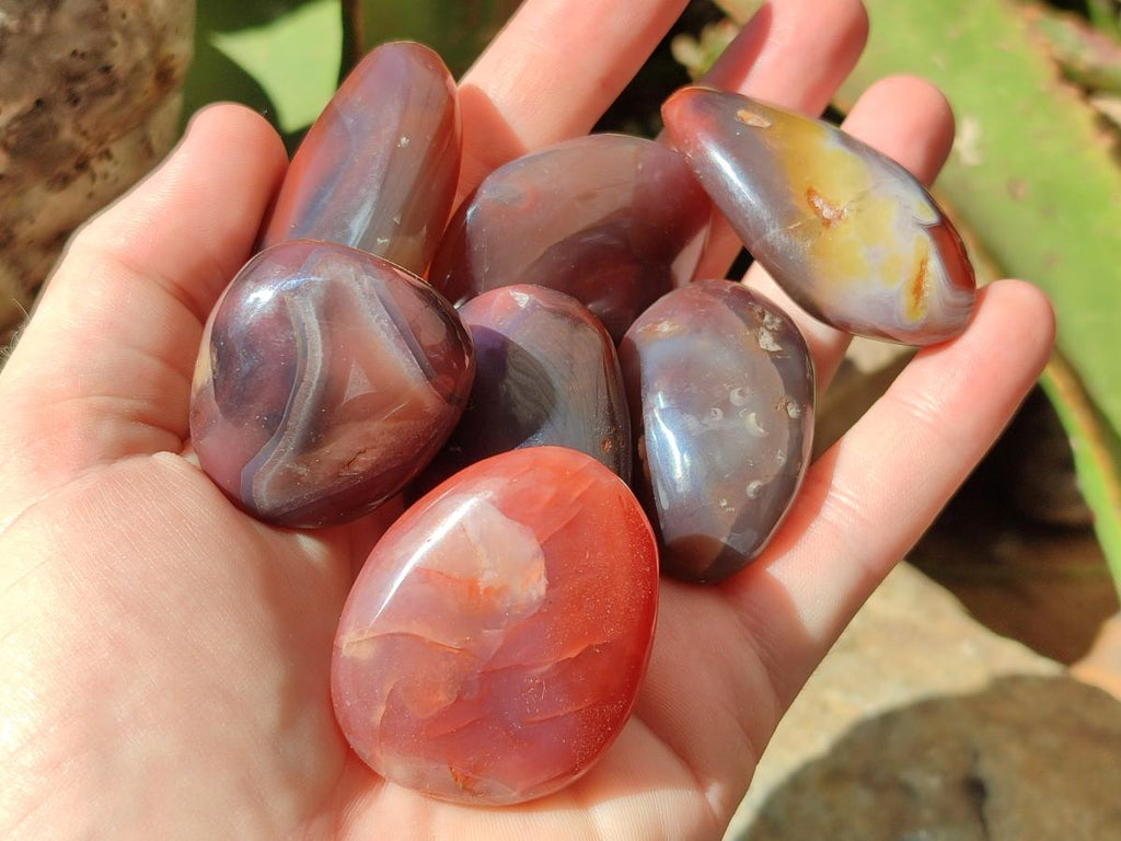 Polished Red Shashe River Agate Free Forms x 35 From Shashe River, Zimbabwe