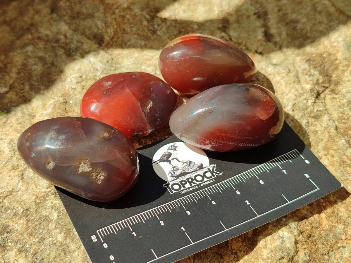 Polished Red Shashe River Agate Free Forms x 35 From Shashe River, Zimbabwe
