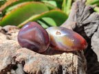 Polished Red Shashe River Agate Free Forms x 35 From Shashe River, Zimbabwe