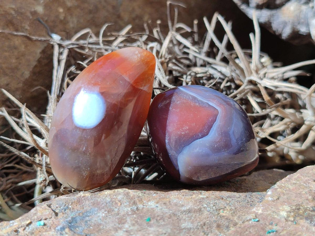 Polished Red Shashe River Agate Free Forms x 35 From Shashe River, Zimbabwe