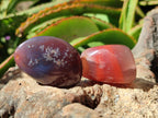 Polished Red Shashe River Agate Free Forms x 35 From Shashe River, Zimbabwe