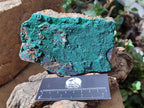 Natural Botryoidal Malachite Specimens x 6 From Congo