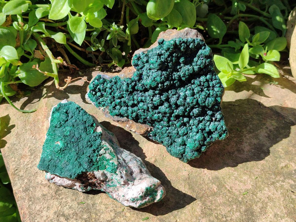 Natural Botryoidal Malachite Specimens x 6 From Congo