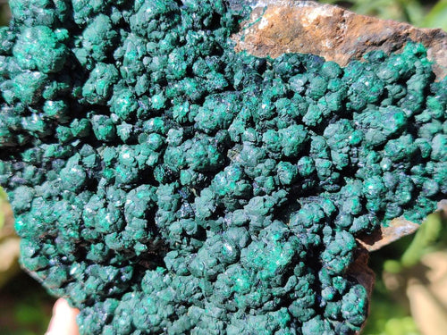 Natural Botryoidal Malachite Specimens x 6 From Congo - Toprock Gemstones and Minerals 