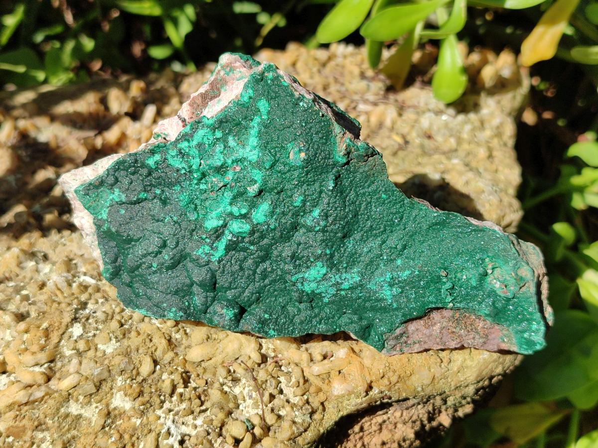 Natural Botryoidal Malachite Specimens x 6 From Congo