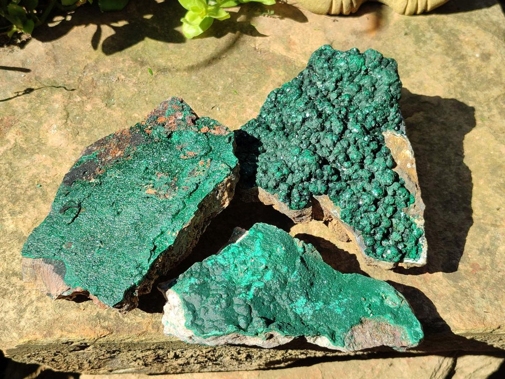 Natural Botryoidal Malachite Specimens x 6 From Congo