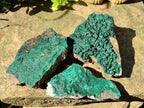 Natural Botryoidal Malachite Specimens x 6 From Congo