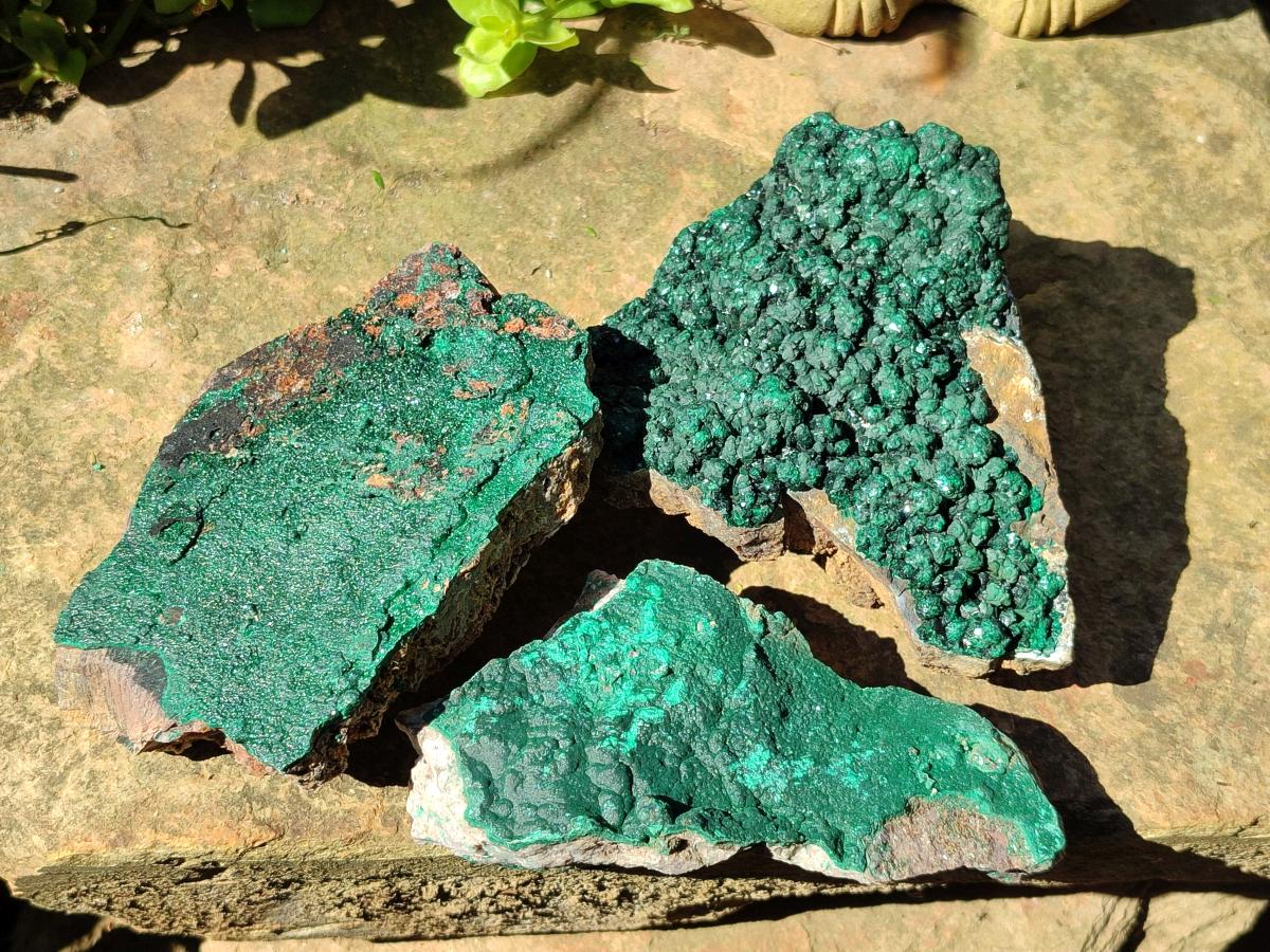 Natural Botryoidal Malachite Specimens x 6 From Congo
